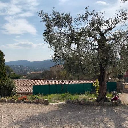 Rez De Villa Peymeinade Exteriér fotografie